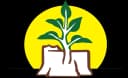 NAMCOL logo mark: a tree, sun and open book